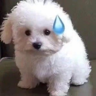 云小川影视app手机版下载