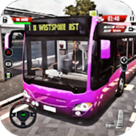 真实公路汽车模拟器3D无限金币版