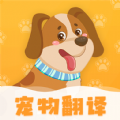 波奇猫语狗语交流器app下载