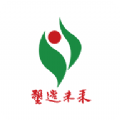 青岛教育e平台学生端下载2023