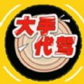 大手代驾软件下载