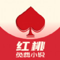 红桃小说APP下载
