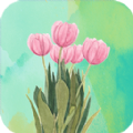 壁纸最美APP新版下载