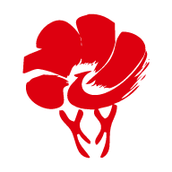 放新办app官方下载安卓版