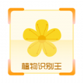 植物识别王最新版app下载